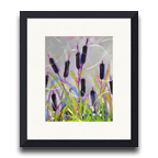 Cattails